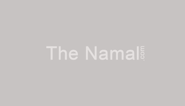 The-Namal