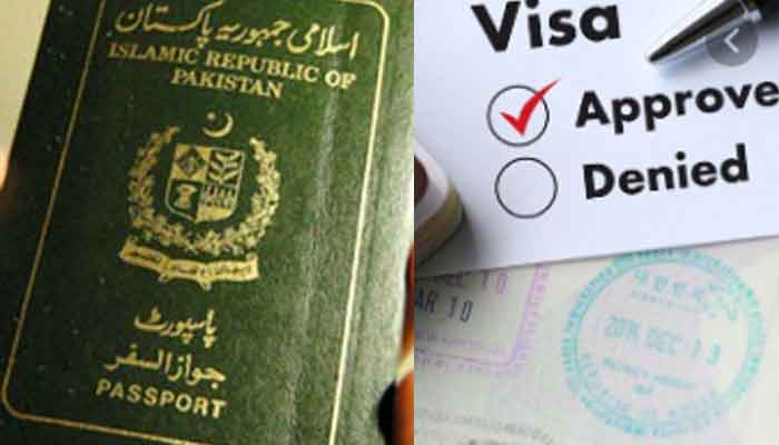 swaziland visit visa requirements for pakistani citizens