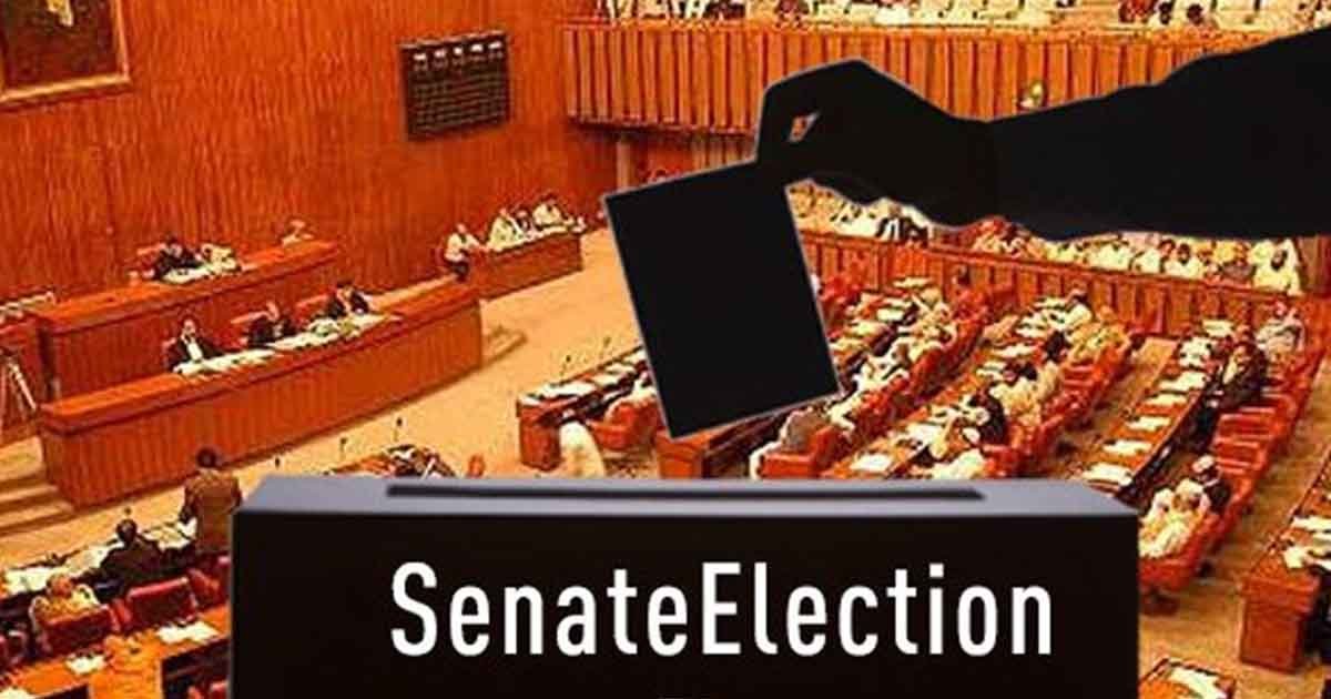 senate election
